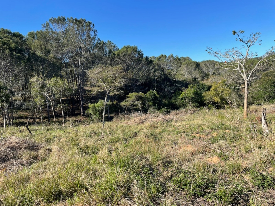 0 Bedroom Property for Sale in Bathurst Eastern Cape